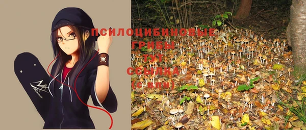 бошки Абаза