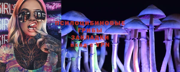 бошки Абаза