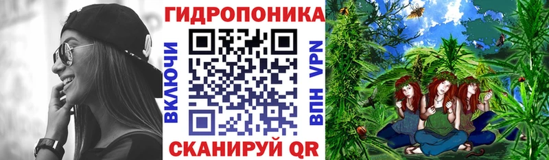 Конопля White Widow  даркнет сайт  Дивногорск 